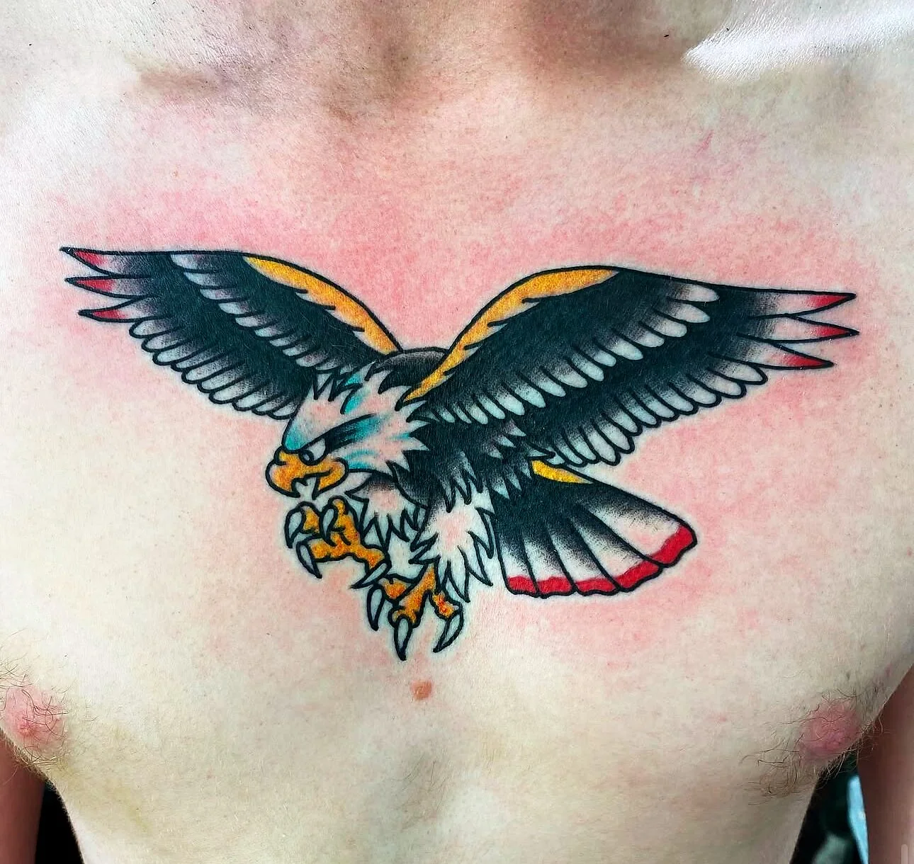 American Traditional bald eagle diving with spread wings tattoo on chest by 2bit (Chris Curren) at Lost at Sea Tattoo, Chinatown, Honolulu