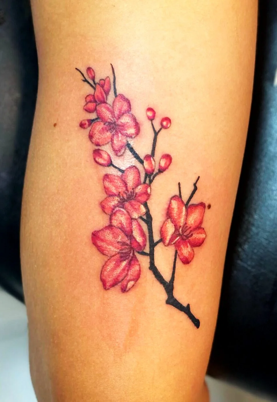 Color Realism pink cherry blossom branch tattoo on forearm by 2bit (Chris Curren) at Lost at Sea Tattoo, Chinatown, Honolulu
